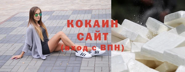 ПСИЛОЦИБИНОВЫЕ ГРИБЫ Арсеньев
