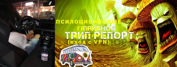 ГАЛЛЮЦИНОГЕННЫЕ ГРИБЫ Армянск