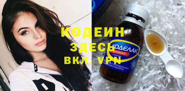 ПСИЛОЦИБИНОВЫЕ ГРИБЫ Арсеньев